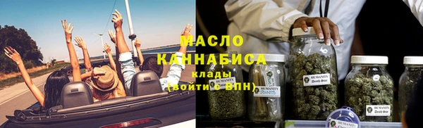 индика Беломорск