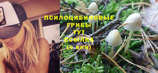 индика Беломорск