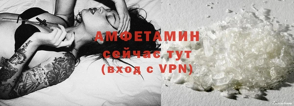 индика Беломорск