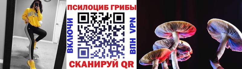 Галлюциногенные грибы мицелий  цена наркотик  Воткинск 